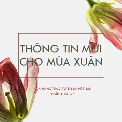 Thông tin mới cho mùa xuân green modern-simple