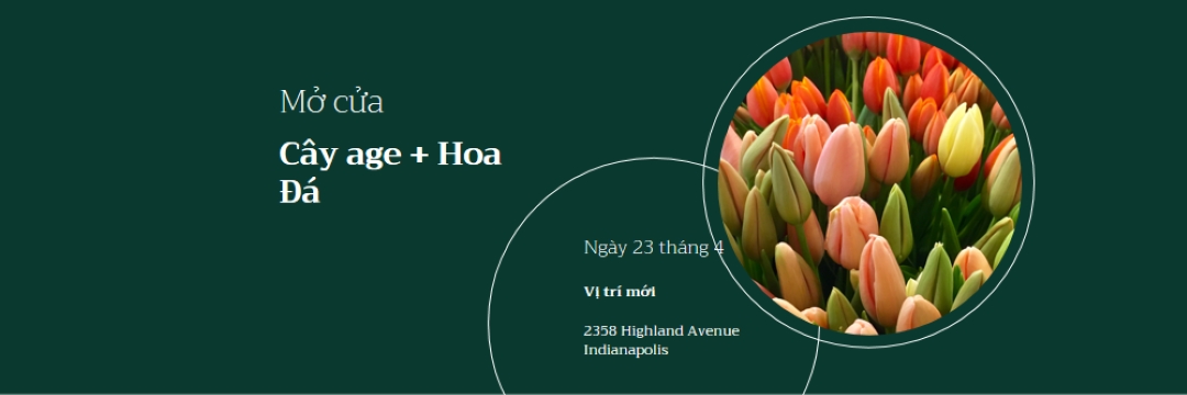 Mở cửa hàng hoa green modern-simple