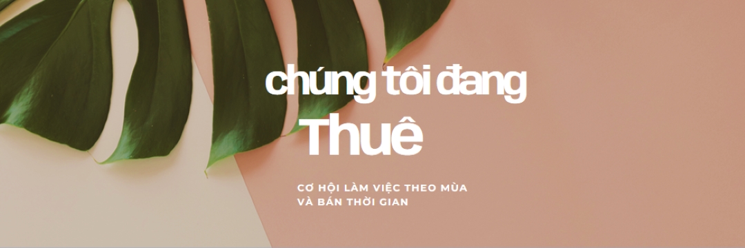 Chúng tôi đang thuê lao động theo thời vụ pink modern-simple