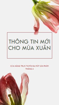 Thông tin mới cho mùa xuân green modern-simple