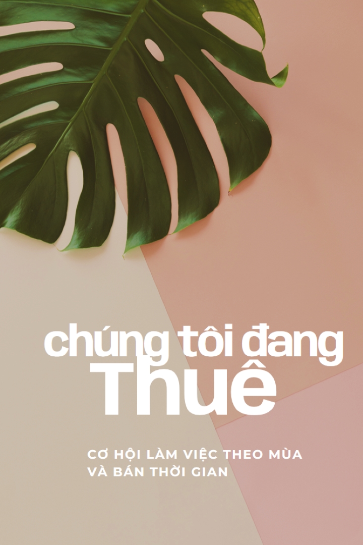 Chúng tôi đang thuê lao động theo thời vụ pink modern-simple