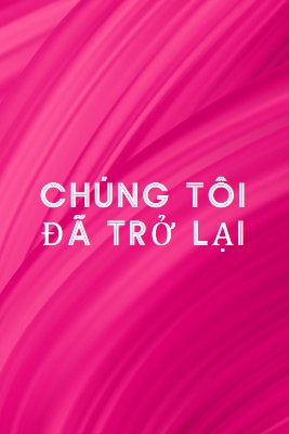 Câu chuyện ngược pink modern-bold