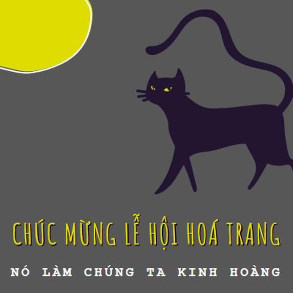 Chú mèo rùng mình black whimsical-color-block