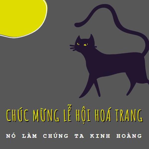 Chú mèo rùng mình black whimsical-color-block