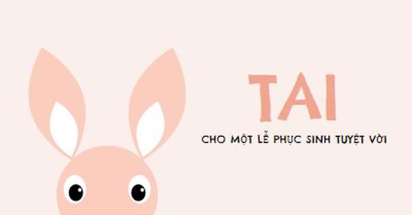 Để một phục sinh tuyệt vời pink whimsical-color-block