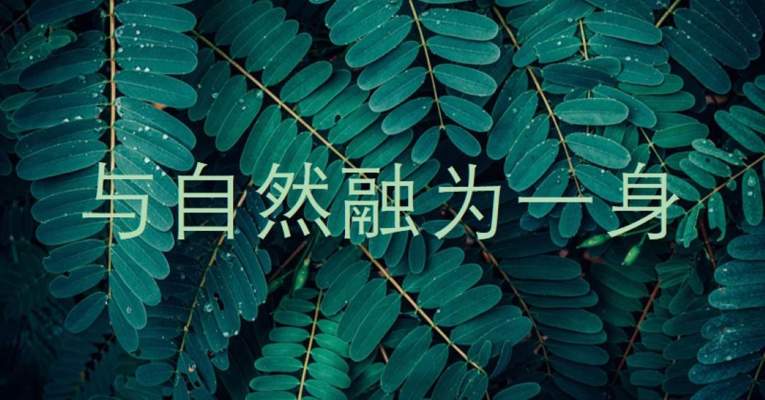 与自然融为一身 green modern-simple