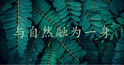 与自然融为一身 green modern-simple