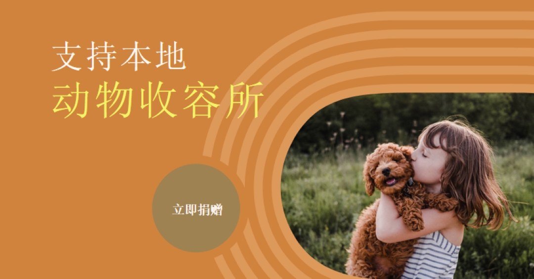 避难所帮助者 orange whimsical-color-block