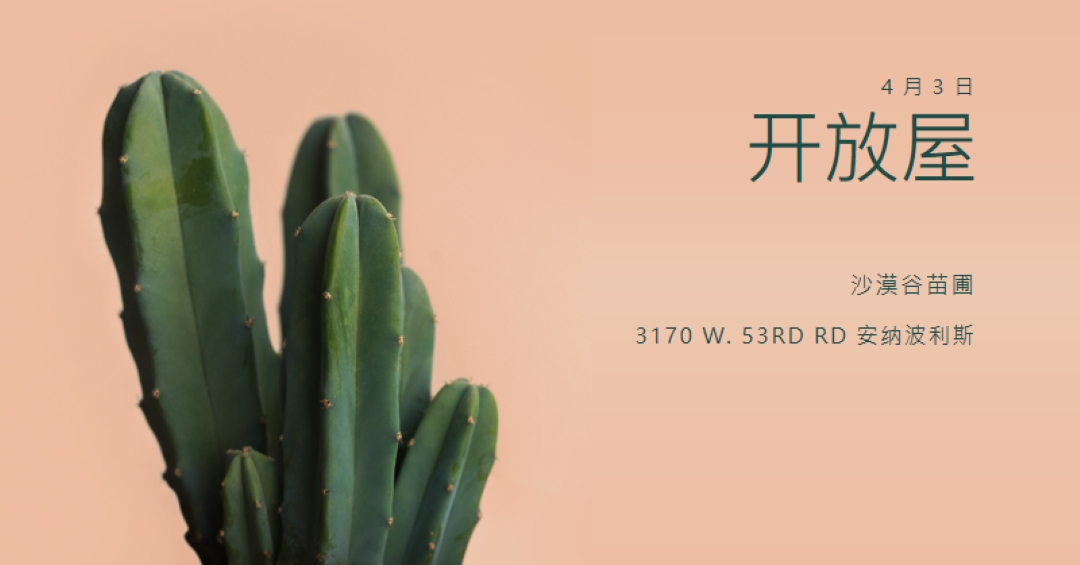 4 月 3 日开放 pink modern-simple