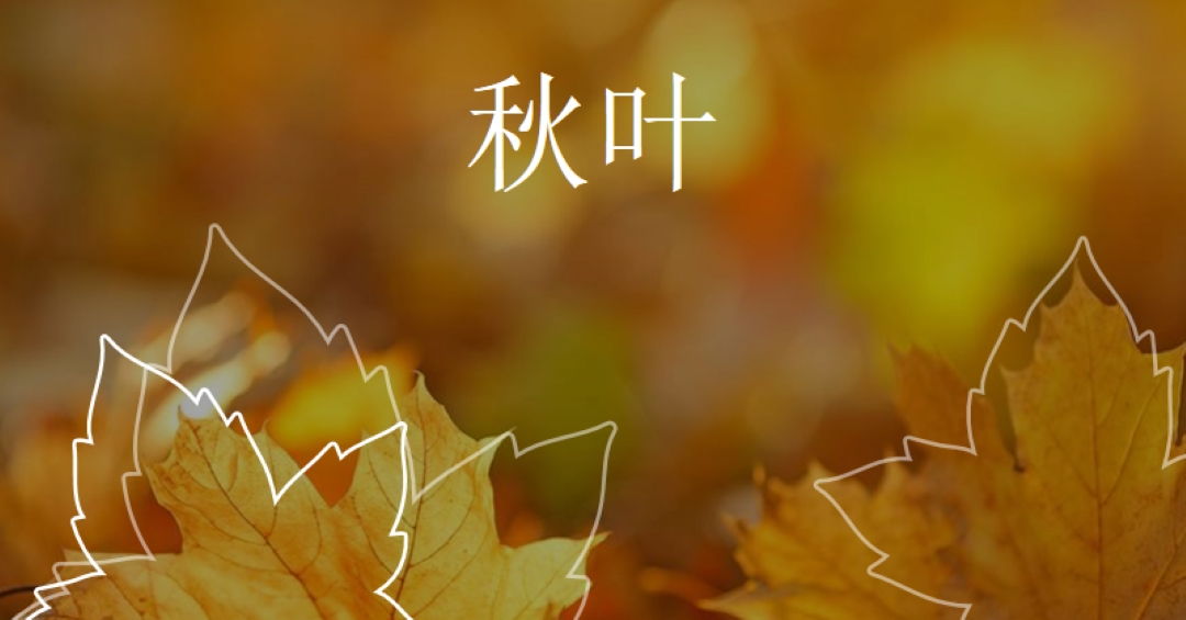 秋叶 orange organic-simple