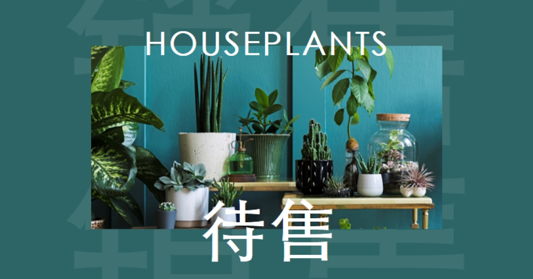 工厂功率 green modern-bold