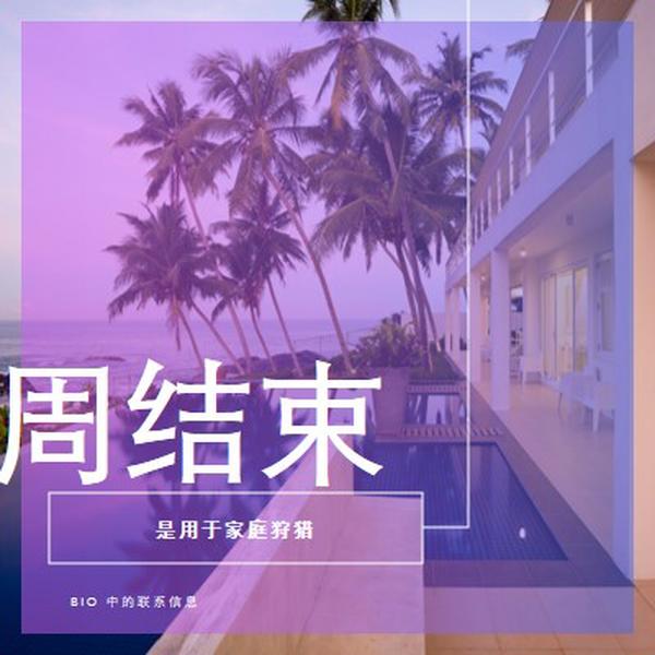 留下来度假 purple modern-bold