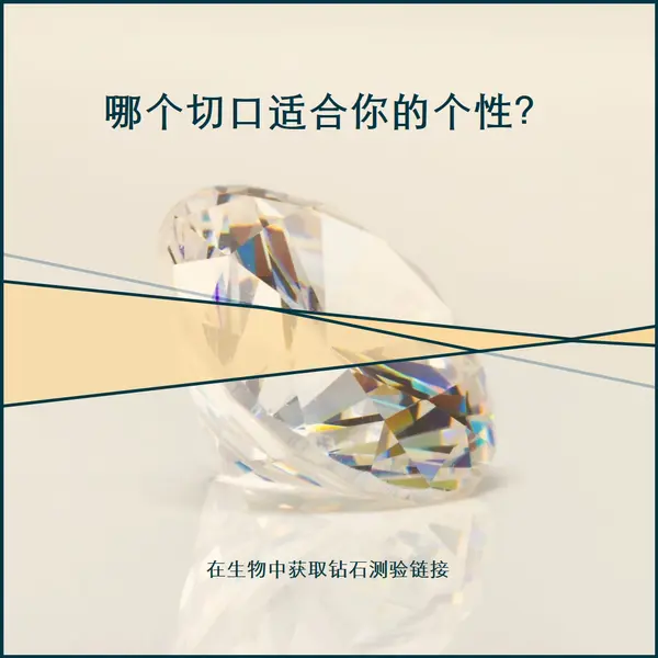 你是我的摇滚 gray modern-bold