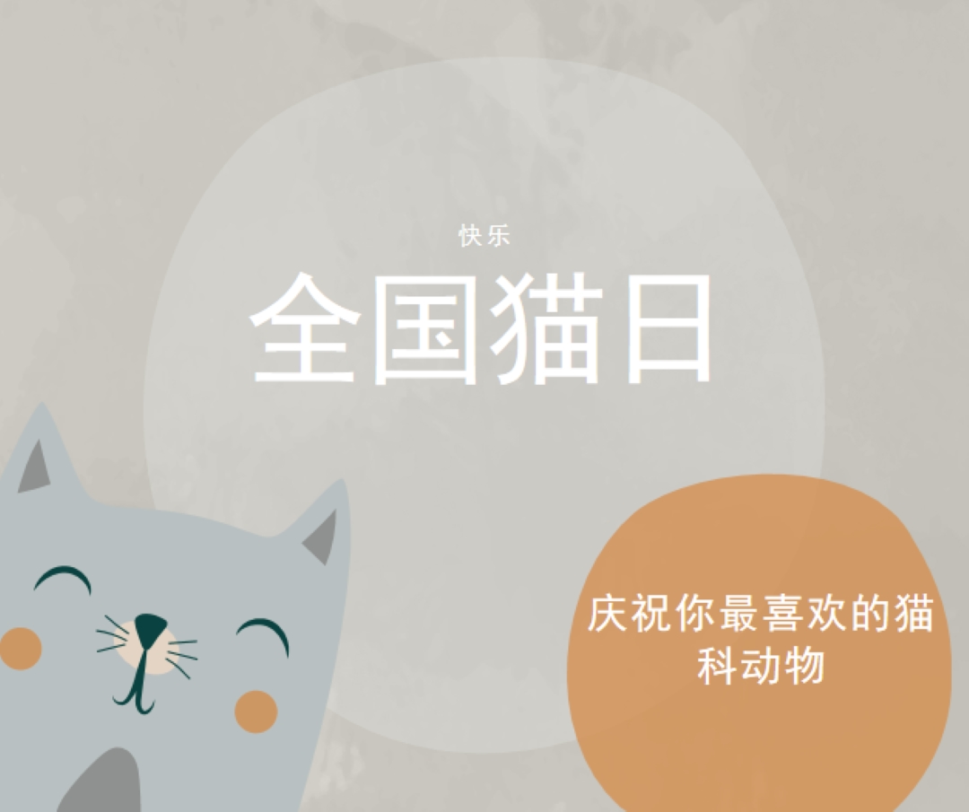 国猫节快乐 gray organic-simple