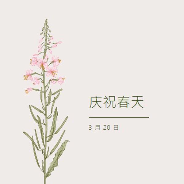 庆祝春天 white vintage-botanical