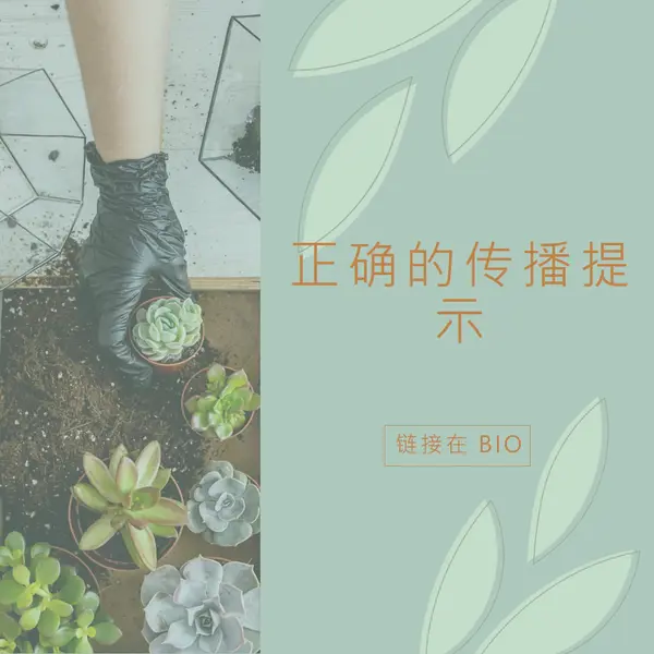 简单多汁 green organic-simple