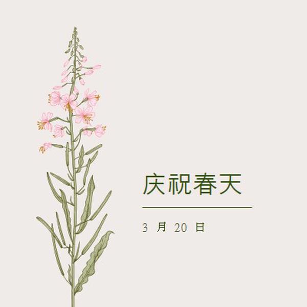 庆祝春天 white vintage-botanical