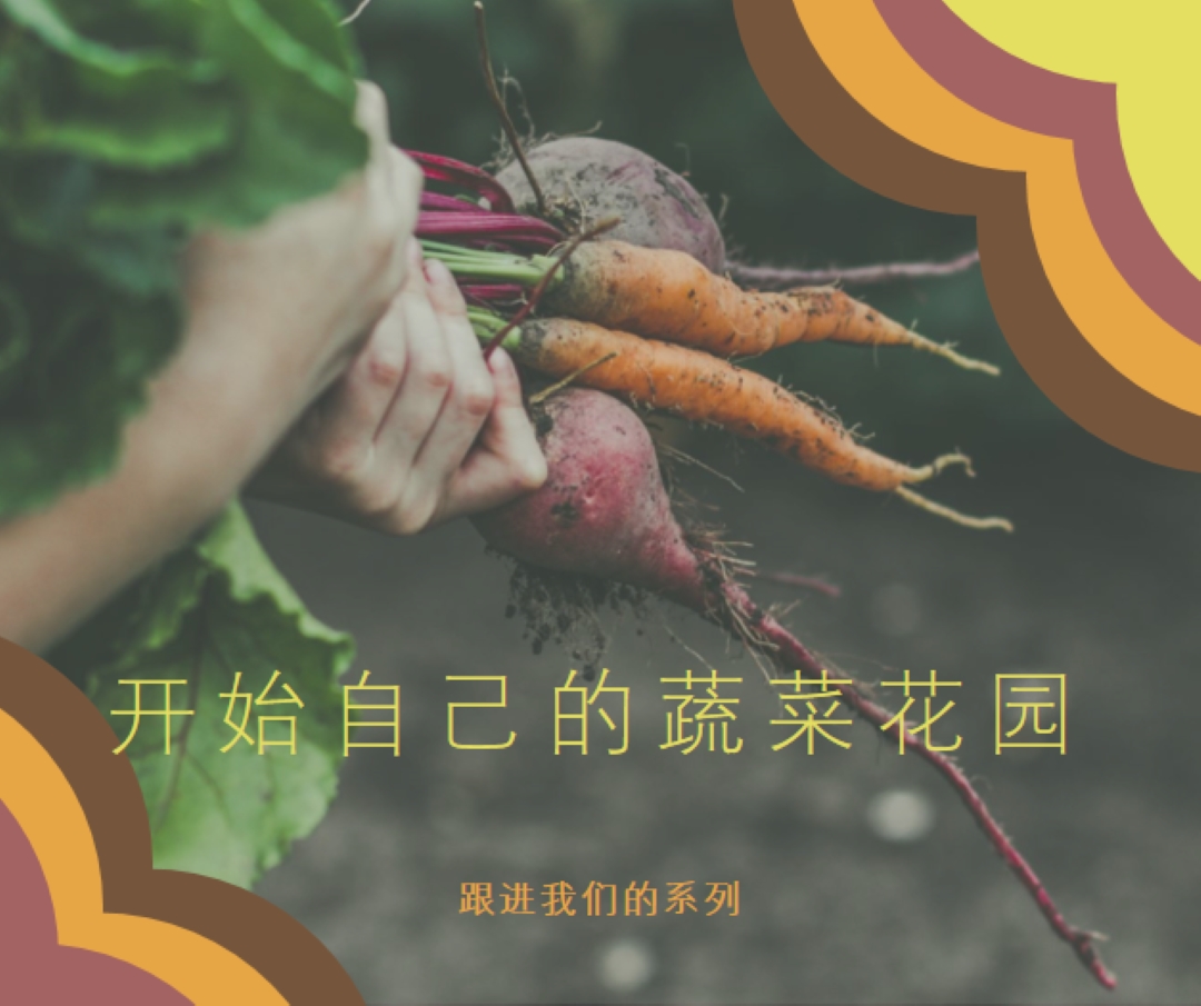 被根拔起的生活 orange vintage-retro