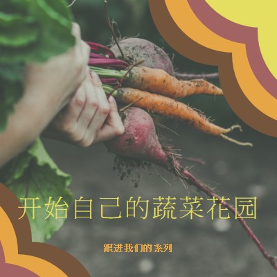 被根拔起的生活 orange vintage-retro