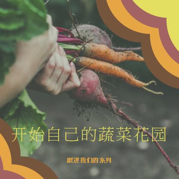 被根拔起的生活 orange vintage-retro