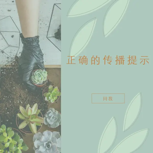 简单多汁 green organic-simple