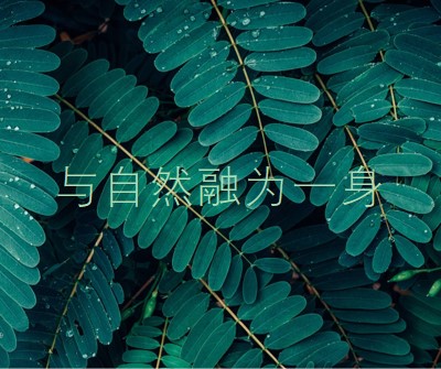 与自然融为一身 green modern-simple