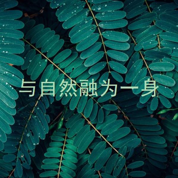 与自然融为一身 green modern-simple