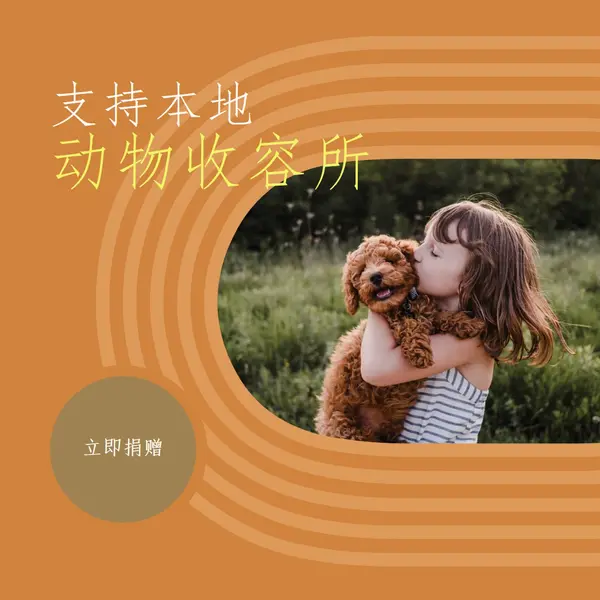 避难所帮助者 orange whimsical-color-block