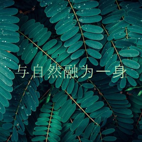 与自然融为一身 green modern-simple