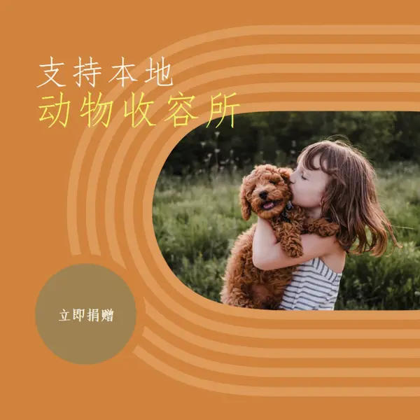 避难所帮助者 orange whimsical-color-block
