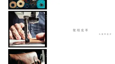 使用皮革 white modern-simple