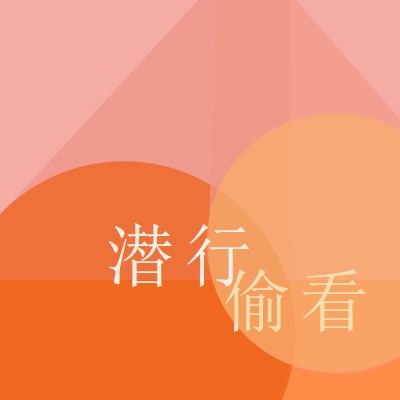 顶级预览版 orange modern-color-block