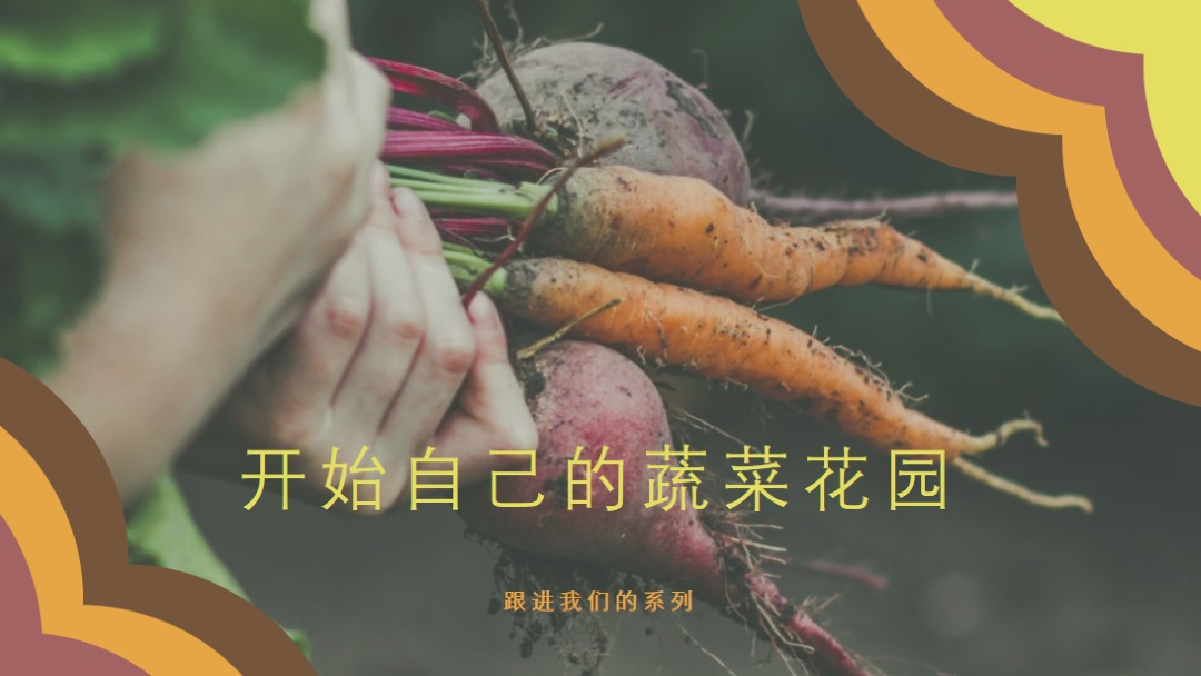 被根拔起的生活 orange vintage-retro