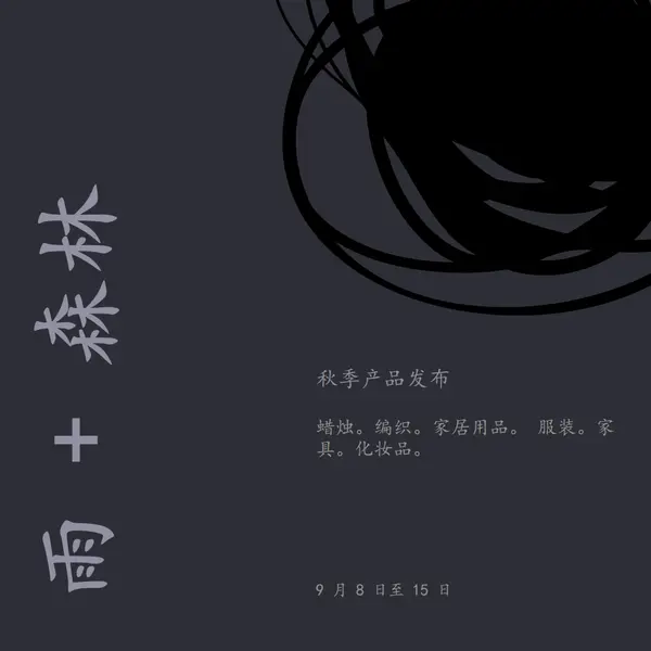 低调的优雅 black modern-simple