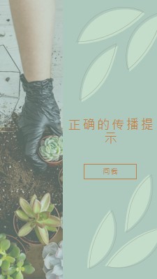 简单多汁 green organic-simple