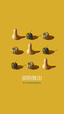 花园派对 yellow modern-simple