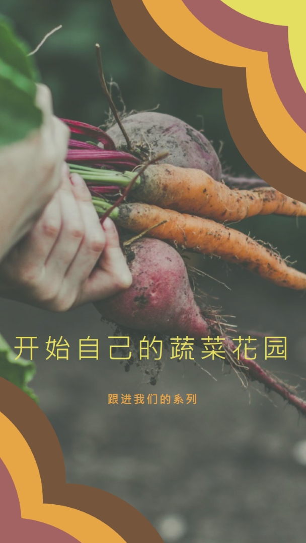 被根拔起的生活 orange vintage-retro