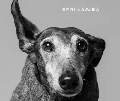 早恋 gray modern-simple