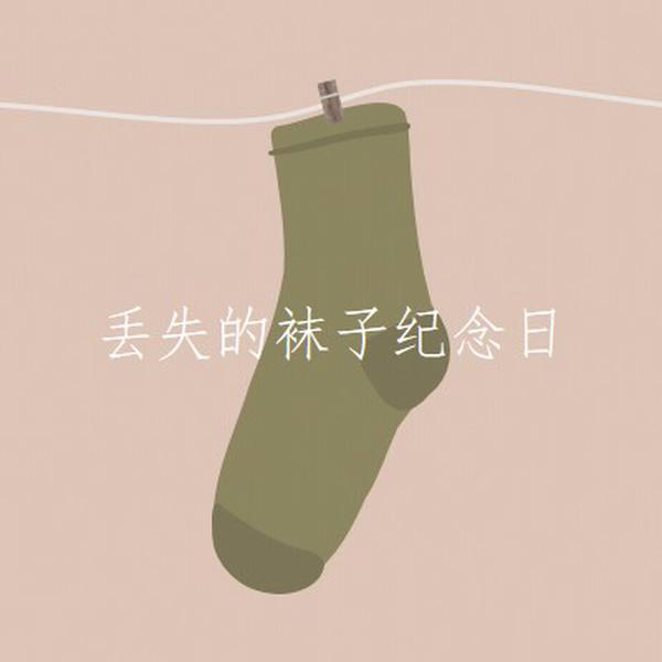 丢失的袜子阵亡将士纪念日 brown whimsical-color-block