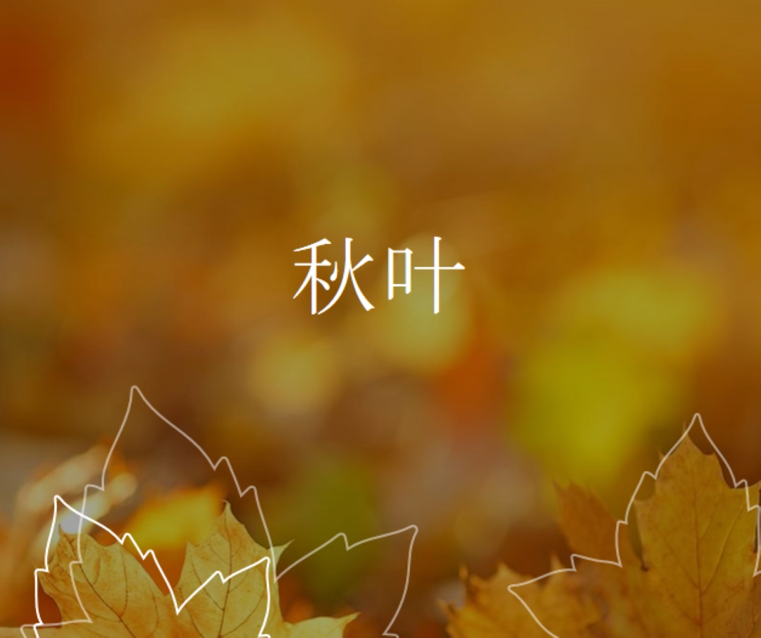 秋叶 orange organic-simple
