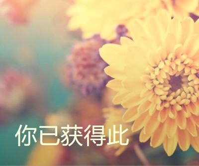 繁荣的花瓣 yellow modern-simple