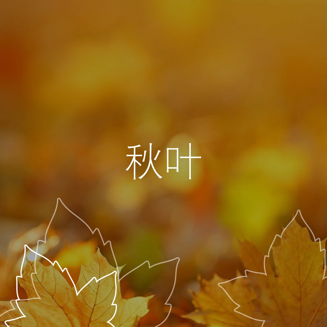 秋叶 orange organic-simple