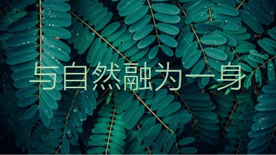 与自然融为一身 green modern-simple