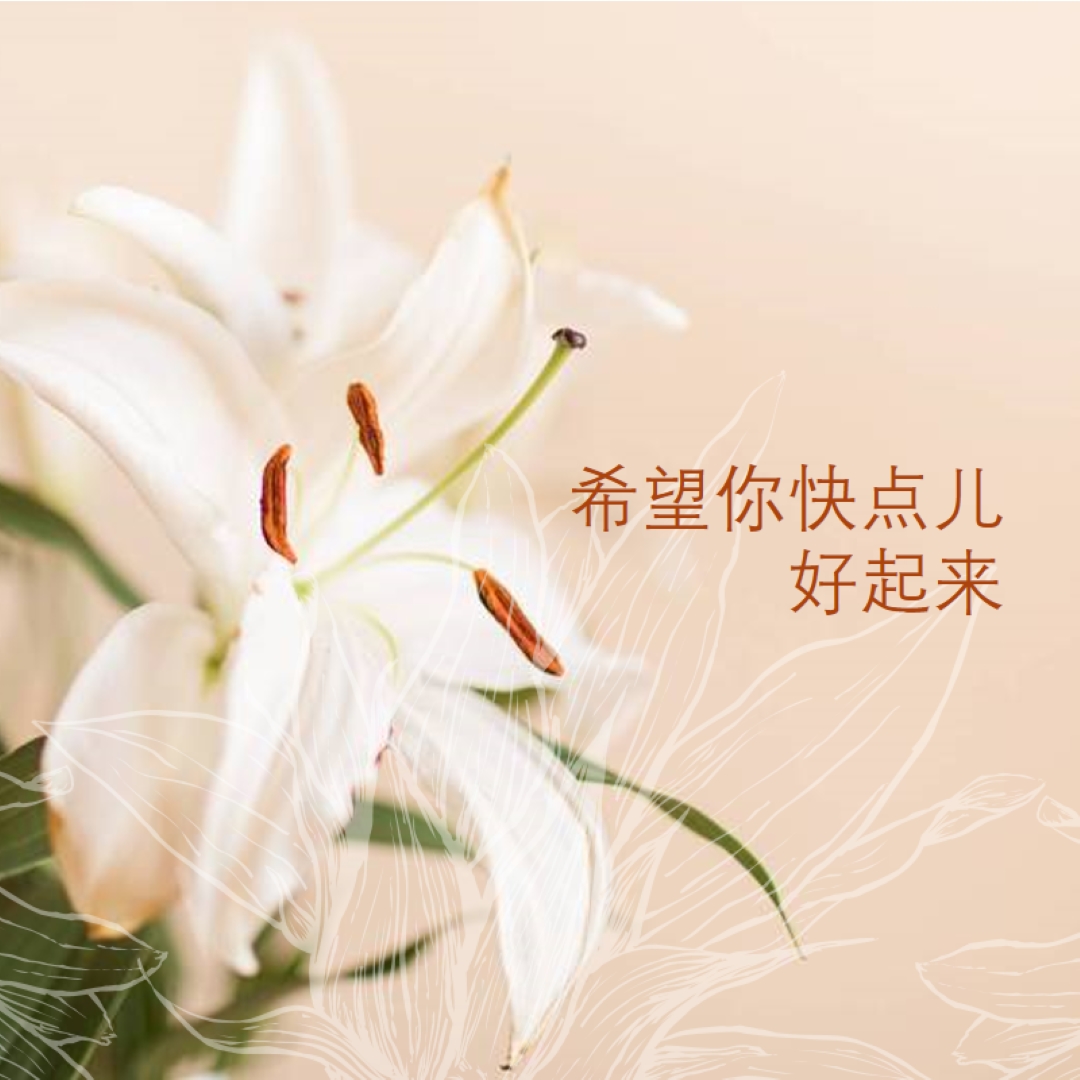 快点好开花 pink modern-simple