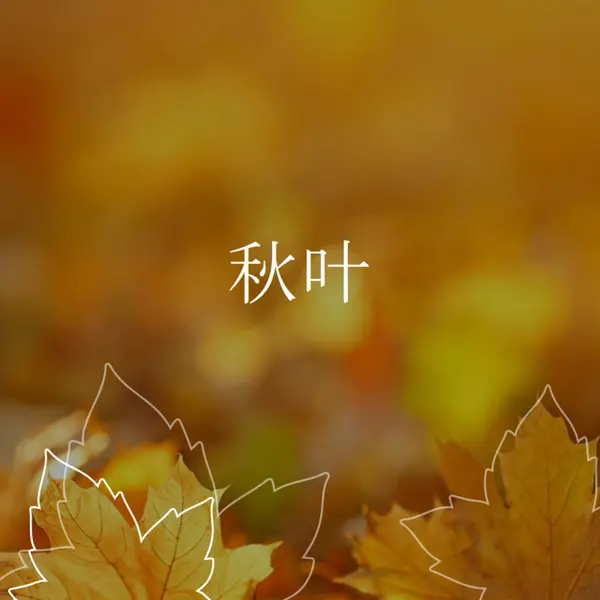 秋叶 orange organic-simple