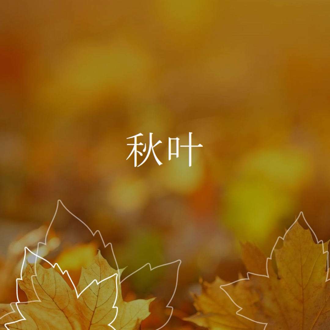 秋叶 orange organic-simple