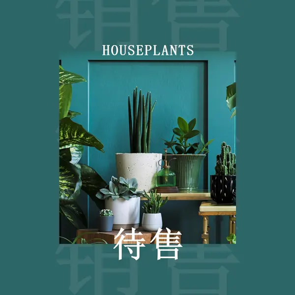 工厂功率 green modern-bold