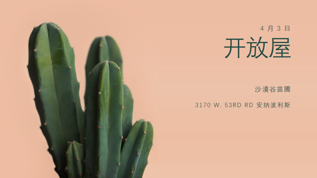 4 月 3 日开放 pink modern-simple