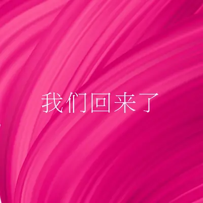 后台故事 pink modern-bold