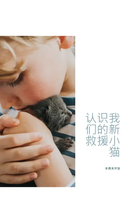 了解我们的新救援 pink modern-simple